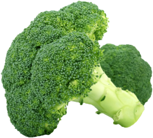 broccoli-1450274_1280-2